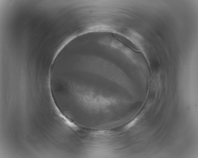 X0000075861390200609291536