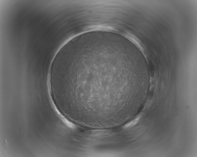 X0000075861391200609291536