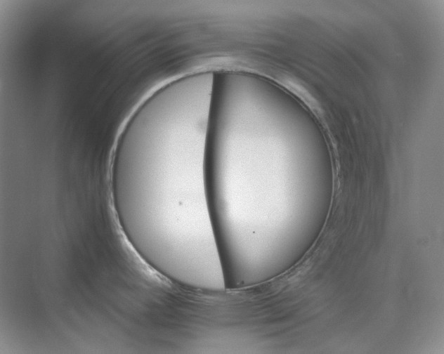 X0000075861392200609291536