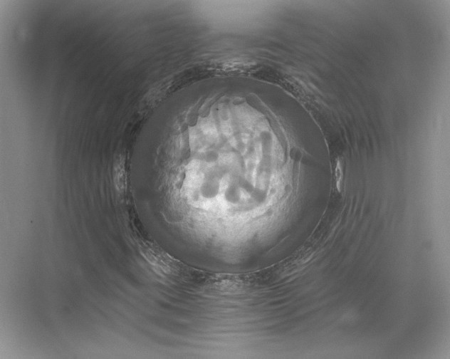 X0000075861395200609291536