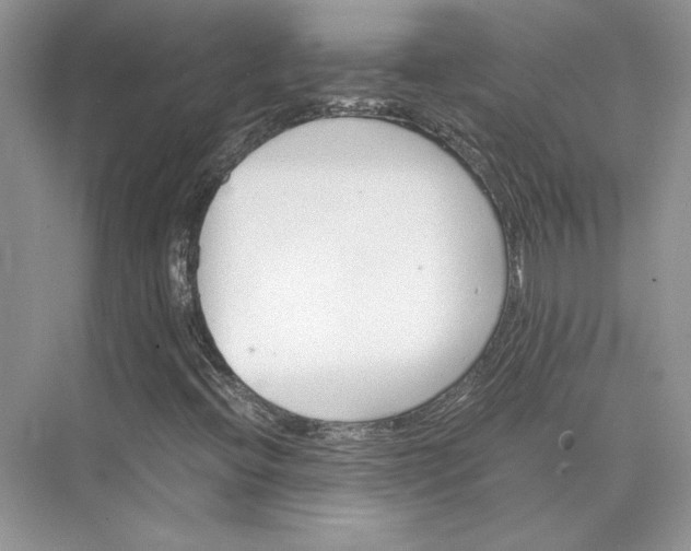 X0000075861396200609291536