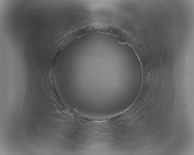 X0000075861397200609291536