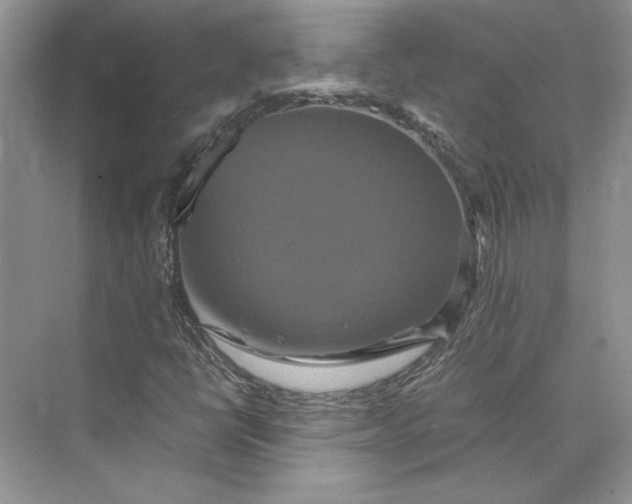 X0000075861398200609291536