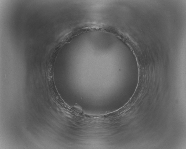 X0000075861399200609291536