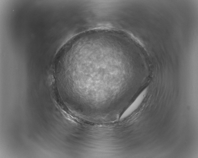 X0000075861400200609291536