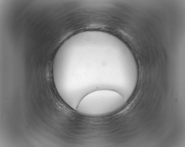 X0000075861401200609291536