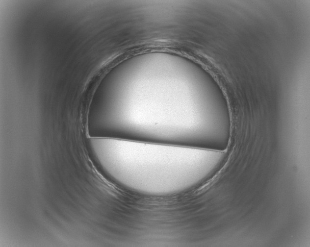 X0000075861402200609291536