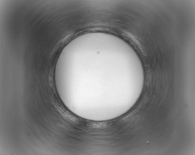 X0000075861403200609291536