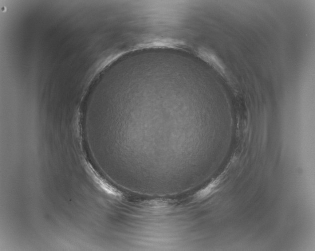 X0000075861404200609291536