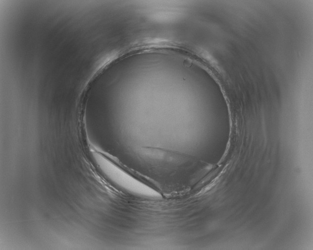 X0000075861405200609291536