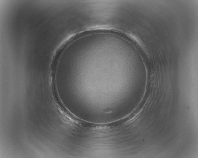 X0000075861406200609291536