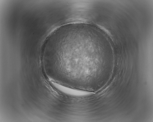 X0000075861407200609291536