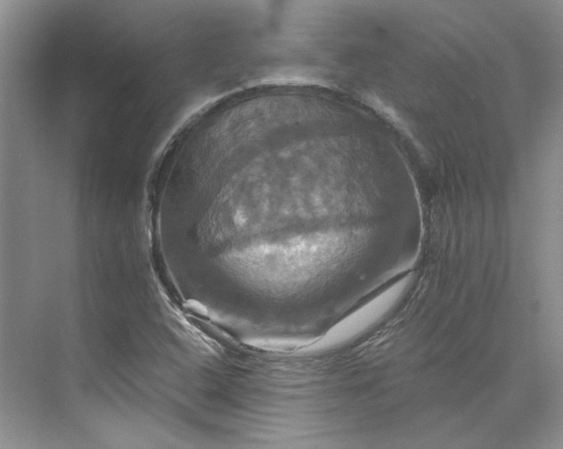 X0000075861408200609291536