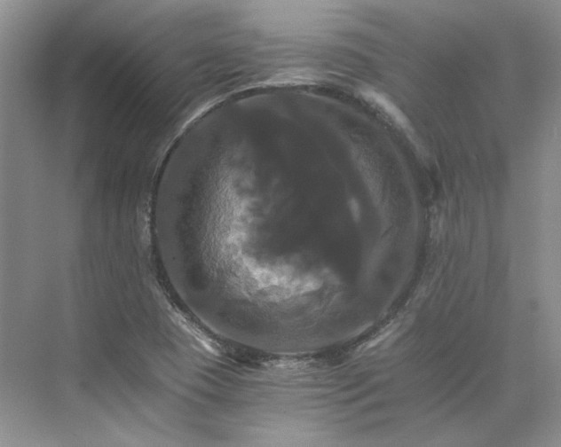 X0000075861409200609291536