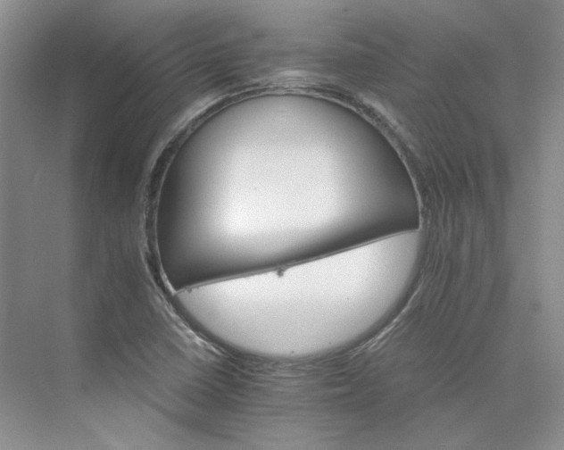 X0000075861410200609291536