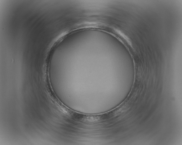 X0000075861411200609291536