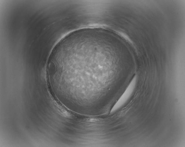 X0000075861412200609291536