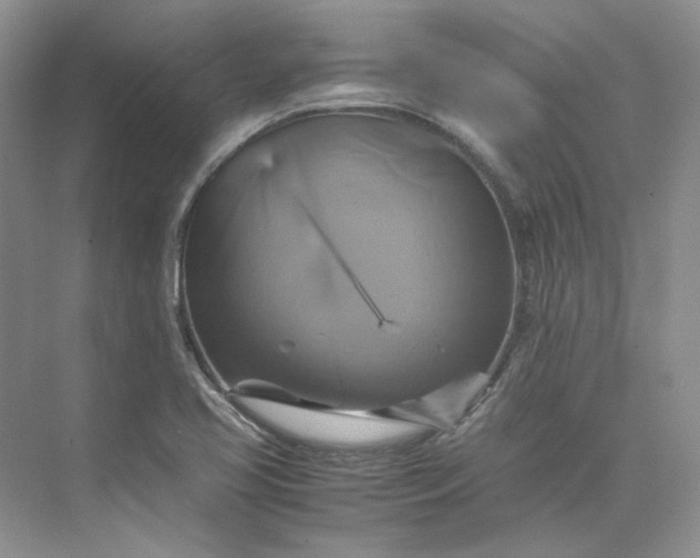 X0000075861413200609291536