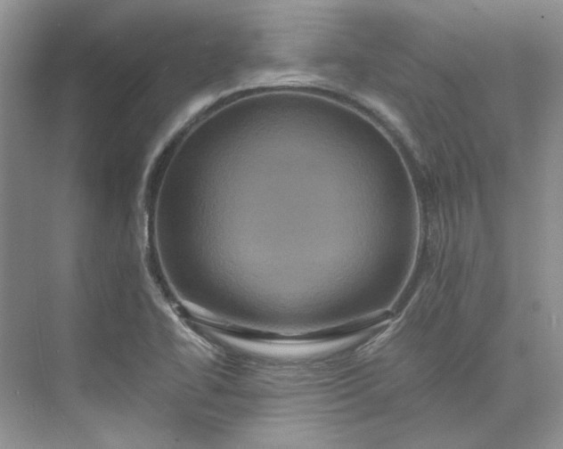 X0000075861414200609291536