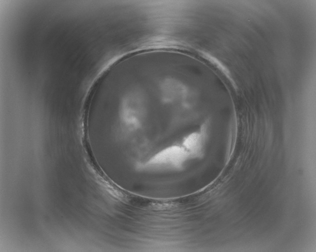 X0000075861415200609291536