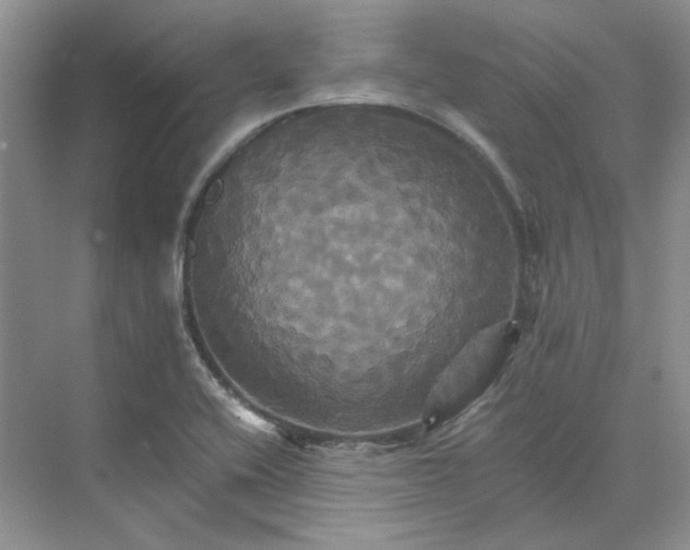 X0000075861416200609291536