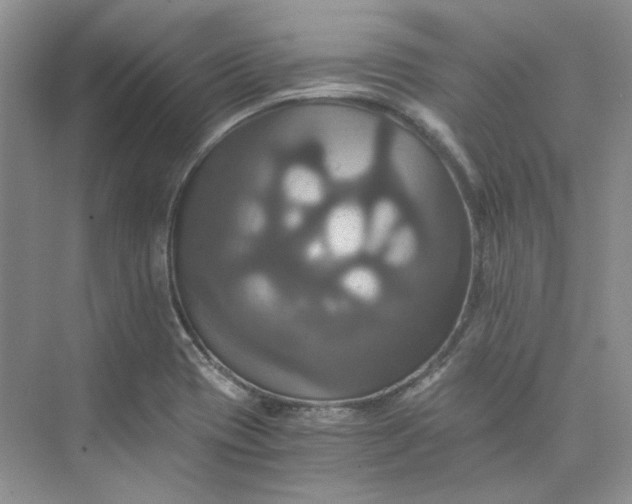 X0000075861417200609291536