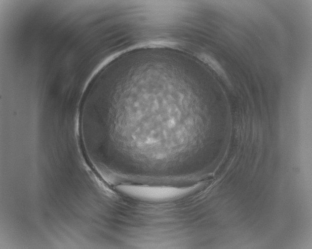 X0000075861420200609291536