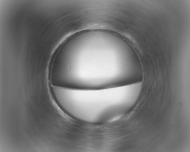 X0000075861422200609291536