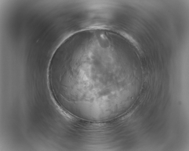 X0000075861423200609291536