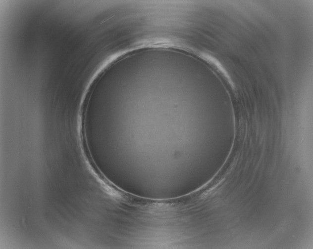 X0000075861424200609291536