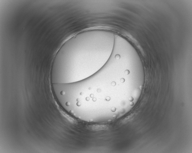 X0000075861425200609291536