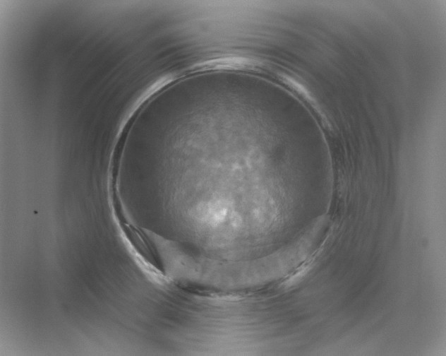 X0000075861426200609291536