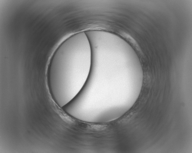 X0000075861427200609291536