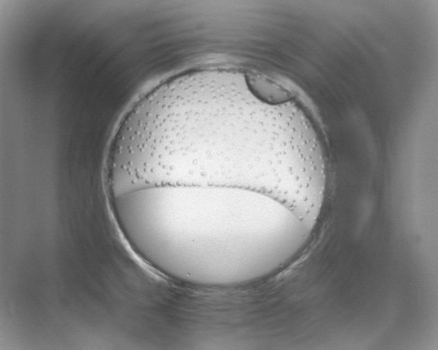 X0000075861429200609291536