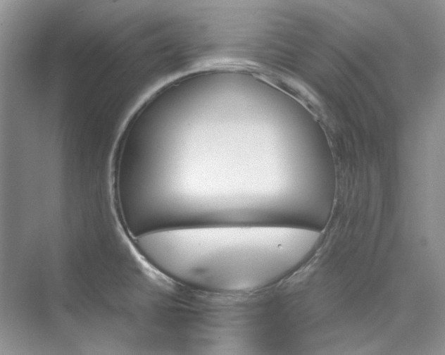 X0000075861430200609291536