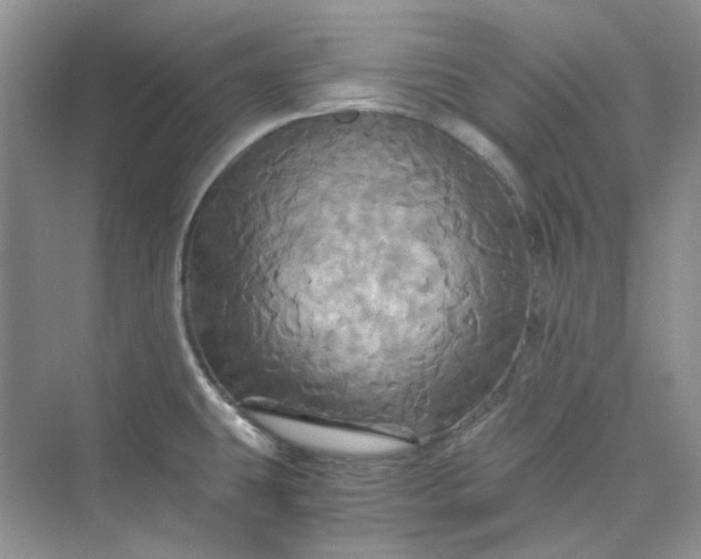 X0000075861431200609291536