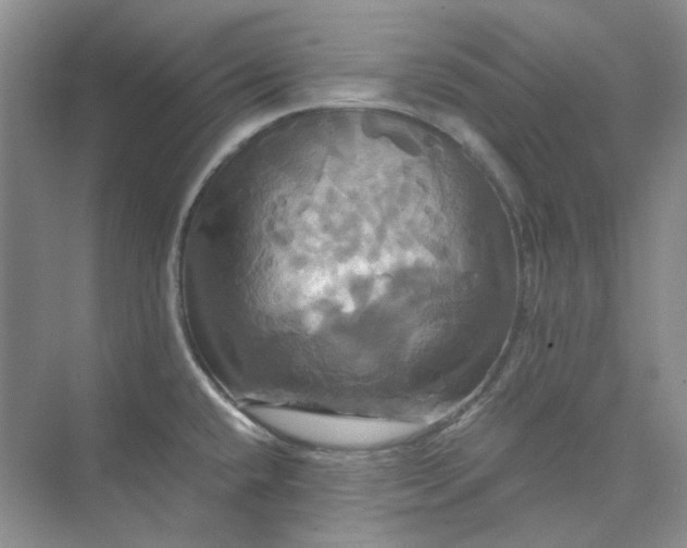 X0000075861432200609291536