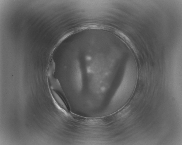 X0000075861433200609291536