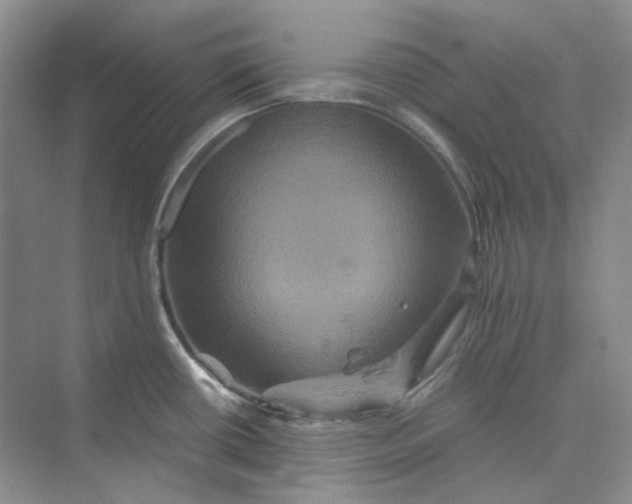 X0000075861434200609291536