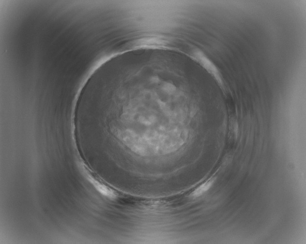 X0000075861435200609291536