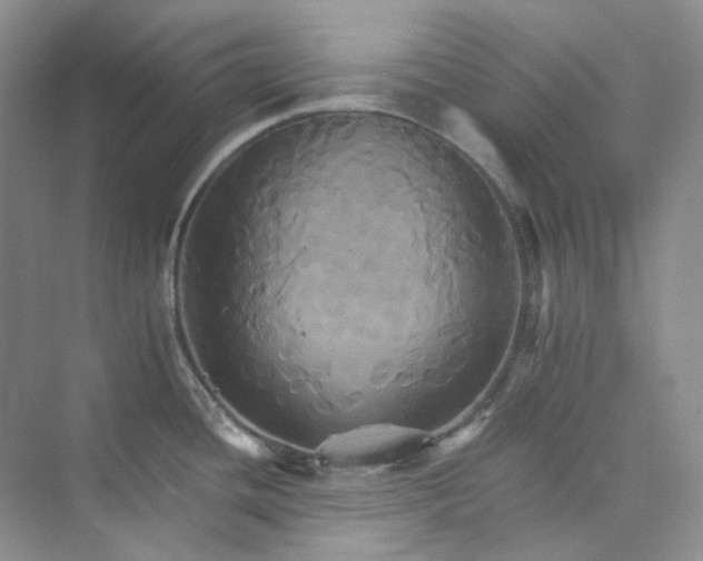 X0000075861436200609291536