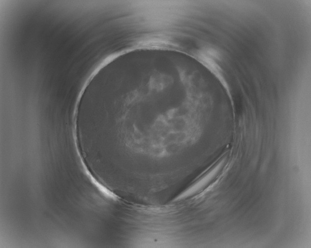 X0000075861437200609291536