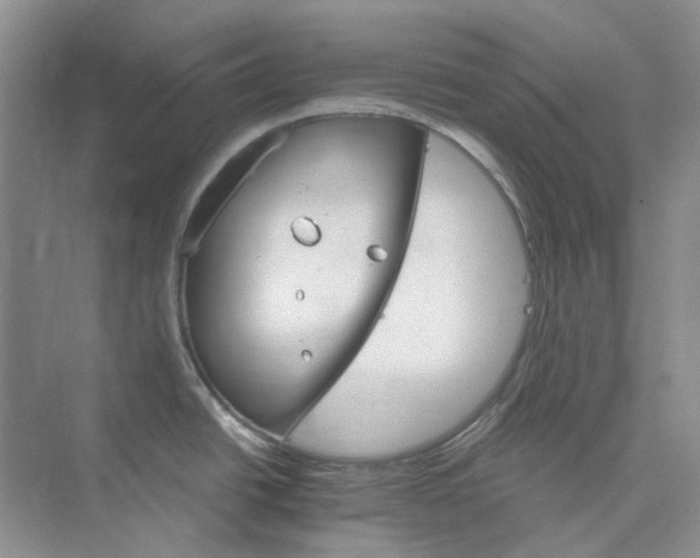 X0000075861438200609291536