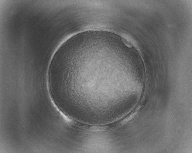 X0000075861440200609291536