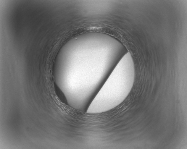 X0000075861441200609291536