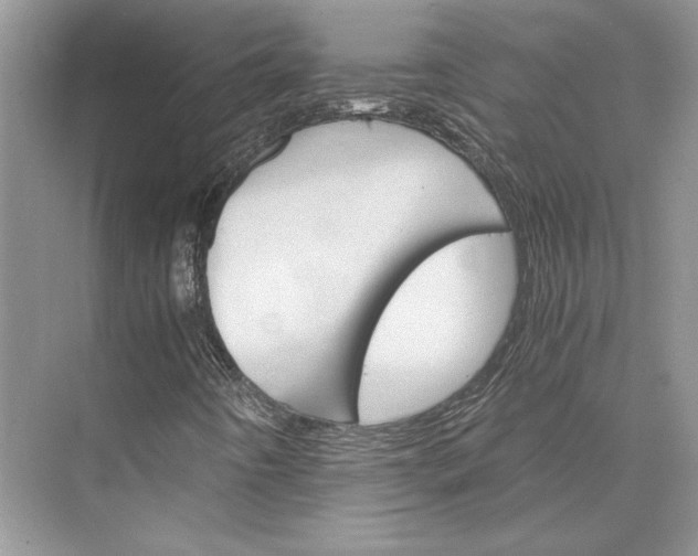 X0000075861442200609291536