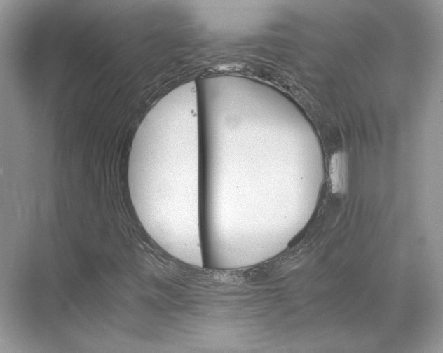 X0000075861443200609291536