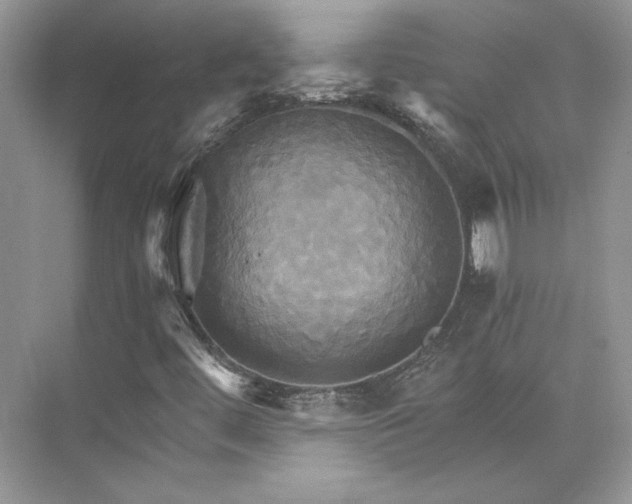 X0000075861444200609291536