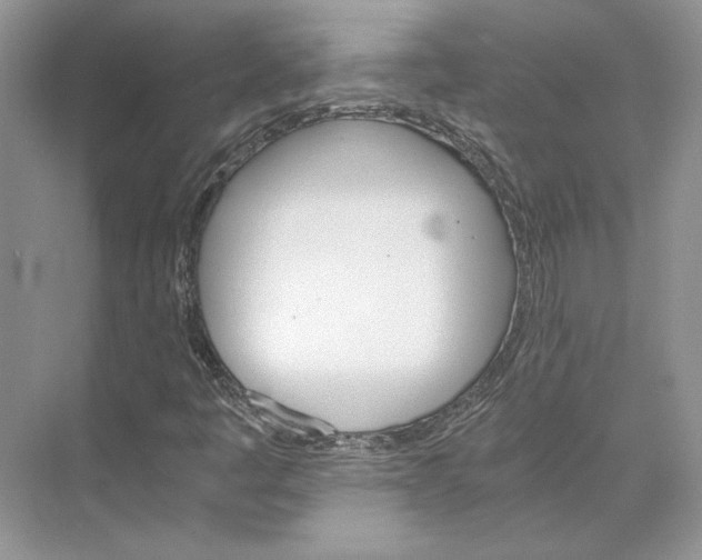 X0000075861445200609291536