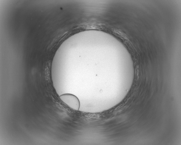 X0000075861446200609291536